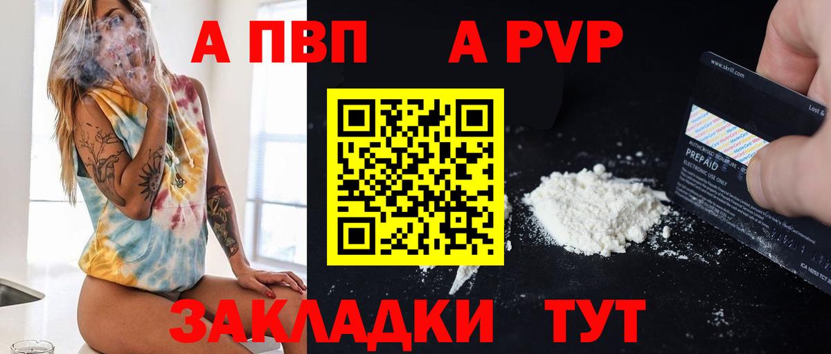 Альфа ПВП СК КРИС Шебекино