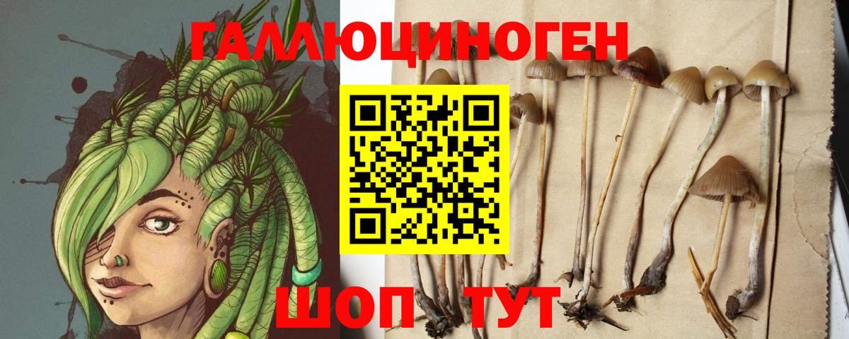 Псилоцибиновые грибы Psilocybine cubensis  Вход с VPN  где купить   Шебекино 