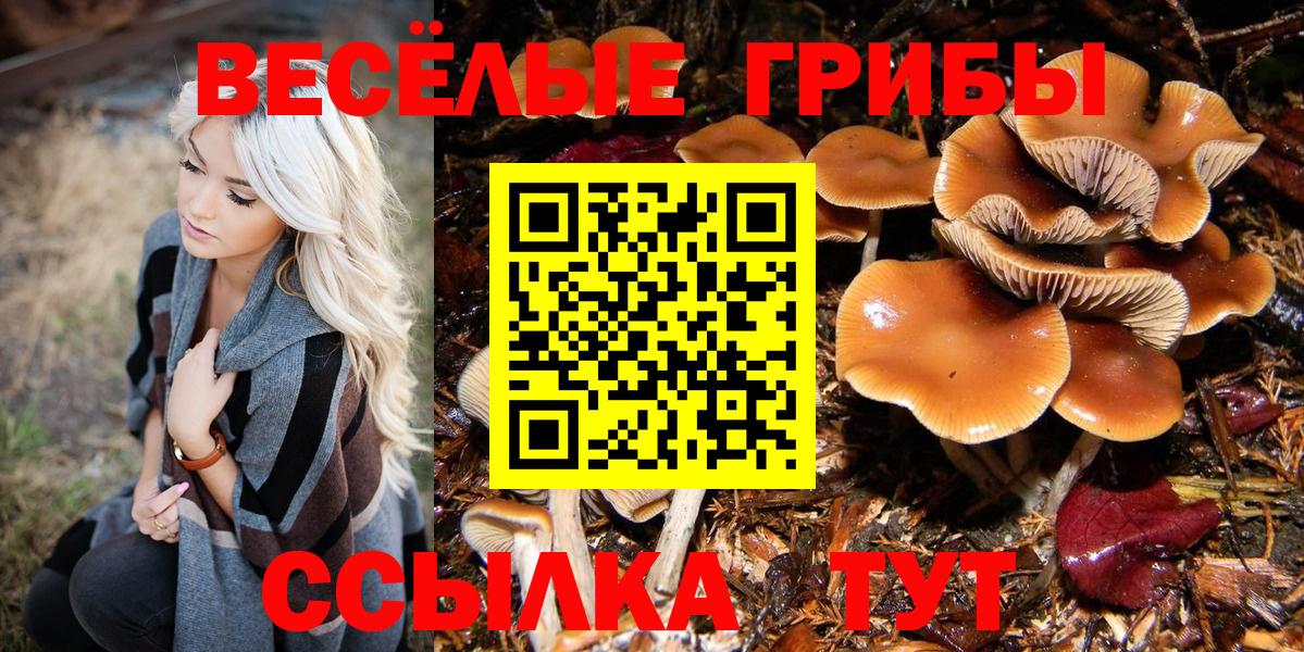 Галлюциногенные грибы прущие грибы Шебекино